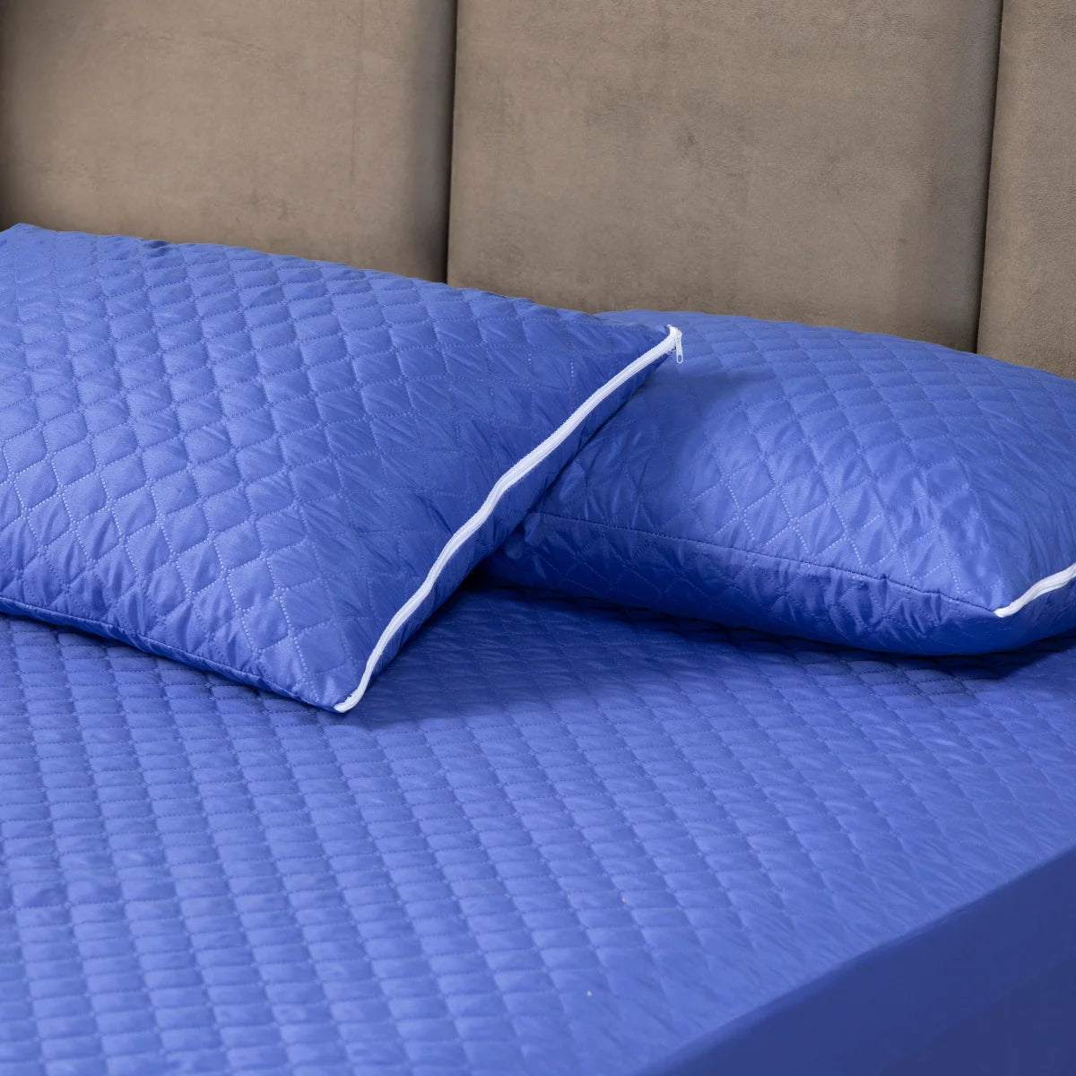 50291567460657|50291567493425|50291567526193|50291567558961