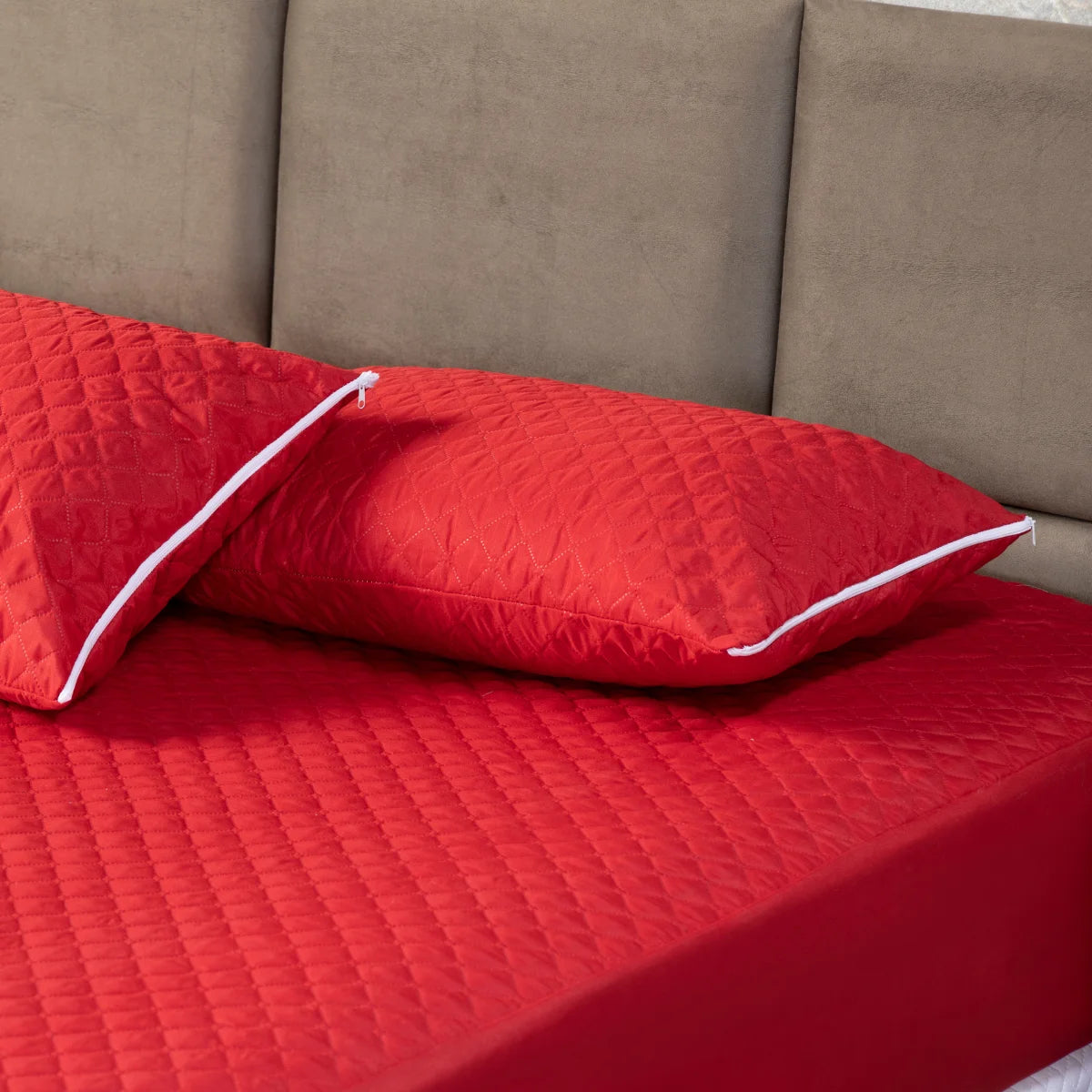 50291567198513|50291567231281|50291567264049|50291567296817