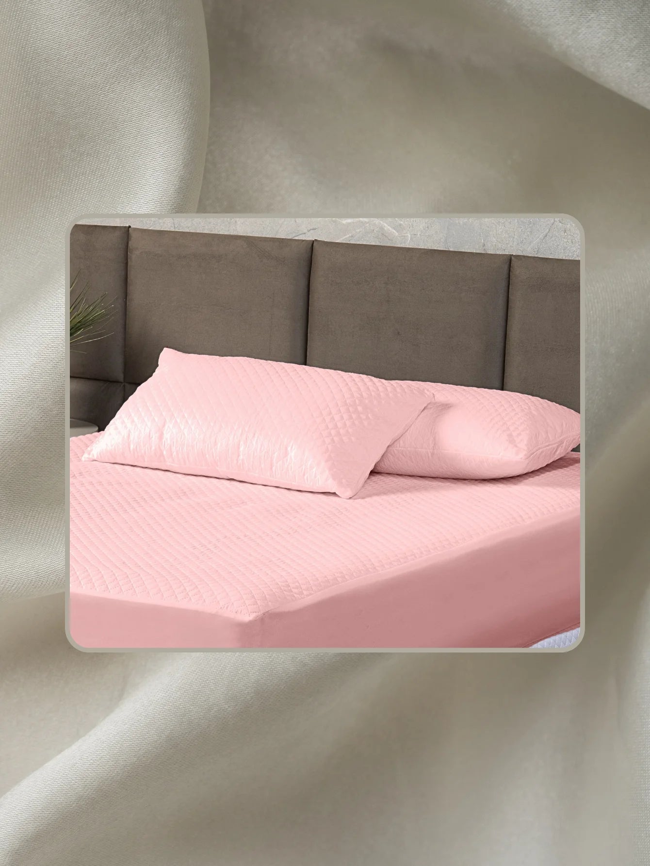 50291566936369|50291566969137|50291567001905|50291567034673